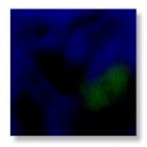 Mayco Jungle Gems Crystal Glaze - Lagoon Blue, Pint