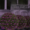 thumbnail image 2 of Purple Net Lights, 50CT, LED, 4ft x 4ft, Halloween Indoor/Outdoor, by Way To Celebrate, 2 of 6