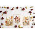 thumbnail image 3 of Marco de fotos colgante TLBTEK 20x25 cm con doble cristal para flores, 3 of 5