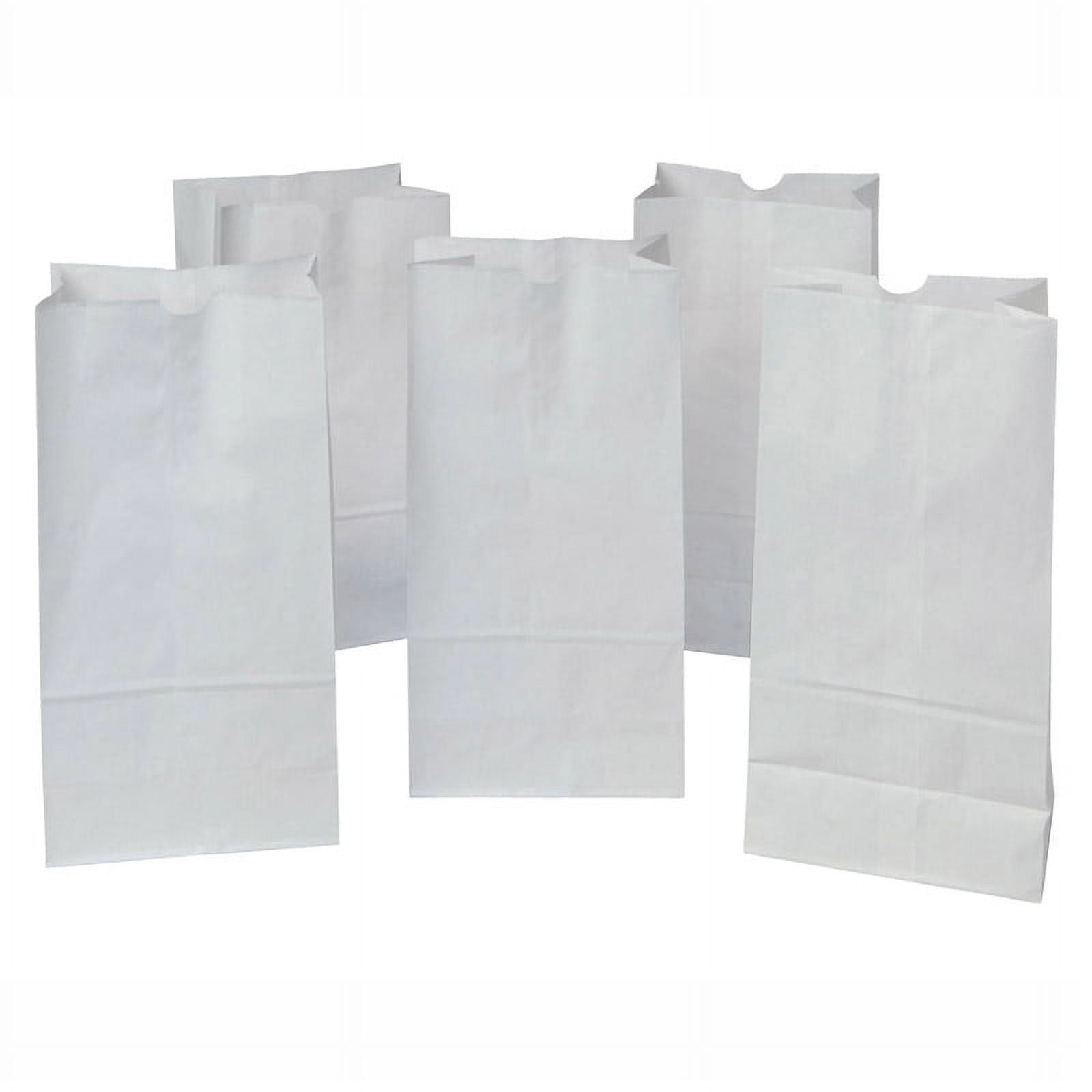 School Smart Paper Bag, Flat Bottom, 7 X 13 Inches, White, Pack Of