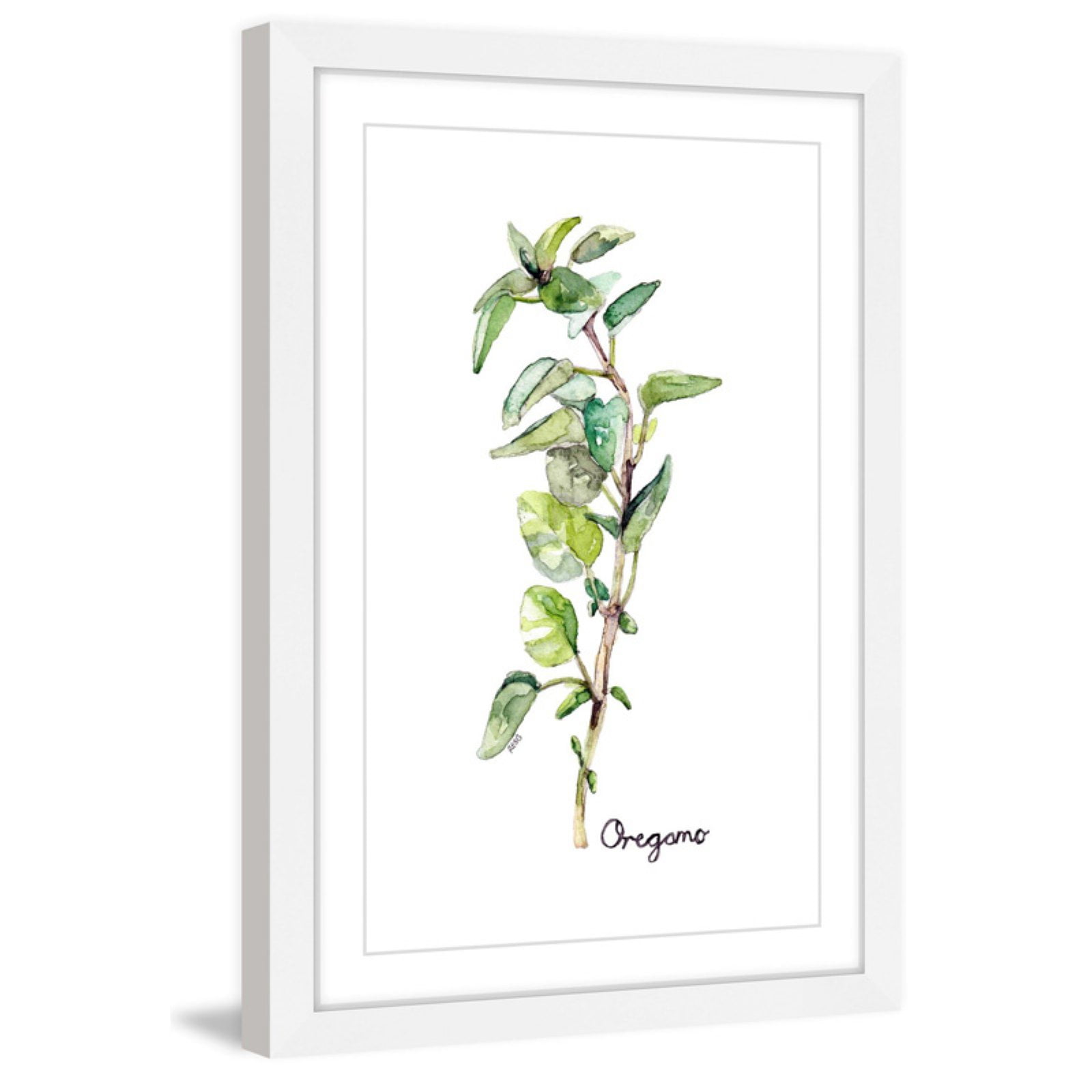 Marmont Hill "Herb Oregano" by Rachel Byler Framed Painting Print