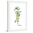 thumbnail image 6 of Marmont Hill "Herb Oregano" by Rachel Byler Framed Painting Print, 6 of 6
