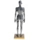 thumbnail image 3 of de Anatomía Masculina de 30 Cm, Modelo Anatómico Musculoesquelético Del Cuerpo para El Y de Ciencias, 3 of 9