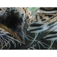 thumbnail image 4 of Ambesonne Jungle Quilted Bedspread Set 3 Pcs, Jaguar Wildcat Feline, King Size, Orange Black Green, 4 of 5
