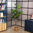 thumbnail image 4 of Artificial Rubber Tree, 5 ft Fake Plastic Ficus Plant, Pre Potted Faux Greenry Plants for Home Decor Office House Living Room Indoor Outdoor, House Decorations for Living Room, Big Fake Plants, 4 of 10