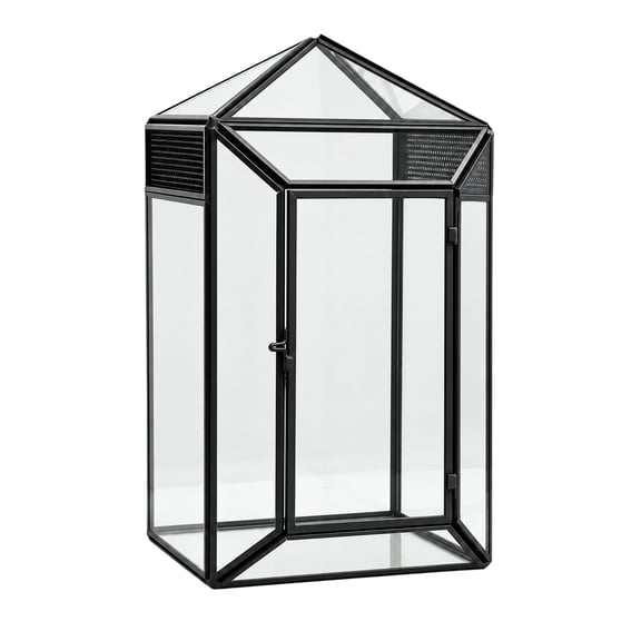 Glass Terrarium Enclosure for Small Reptiles and Amphibians with Clear Surfaces, Enclosed Case, and Single Front Door