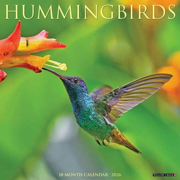 Willow Creek Press, Hummingbirds 2026 Wall Calendar, 12'' X 12'', 18-Month Calendar with Stapled Binding