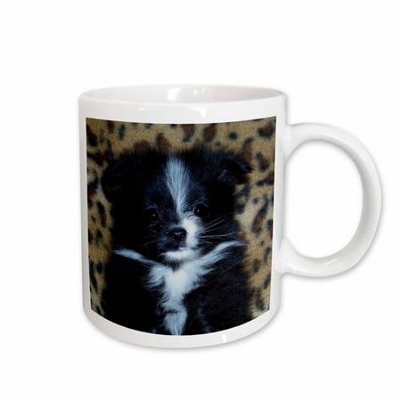 

3dRose Black White Markings Pomeranian Puppy 4 Ceramic Mug 11-ounce
