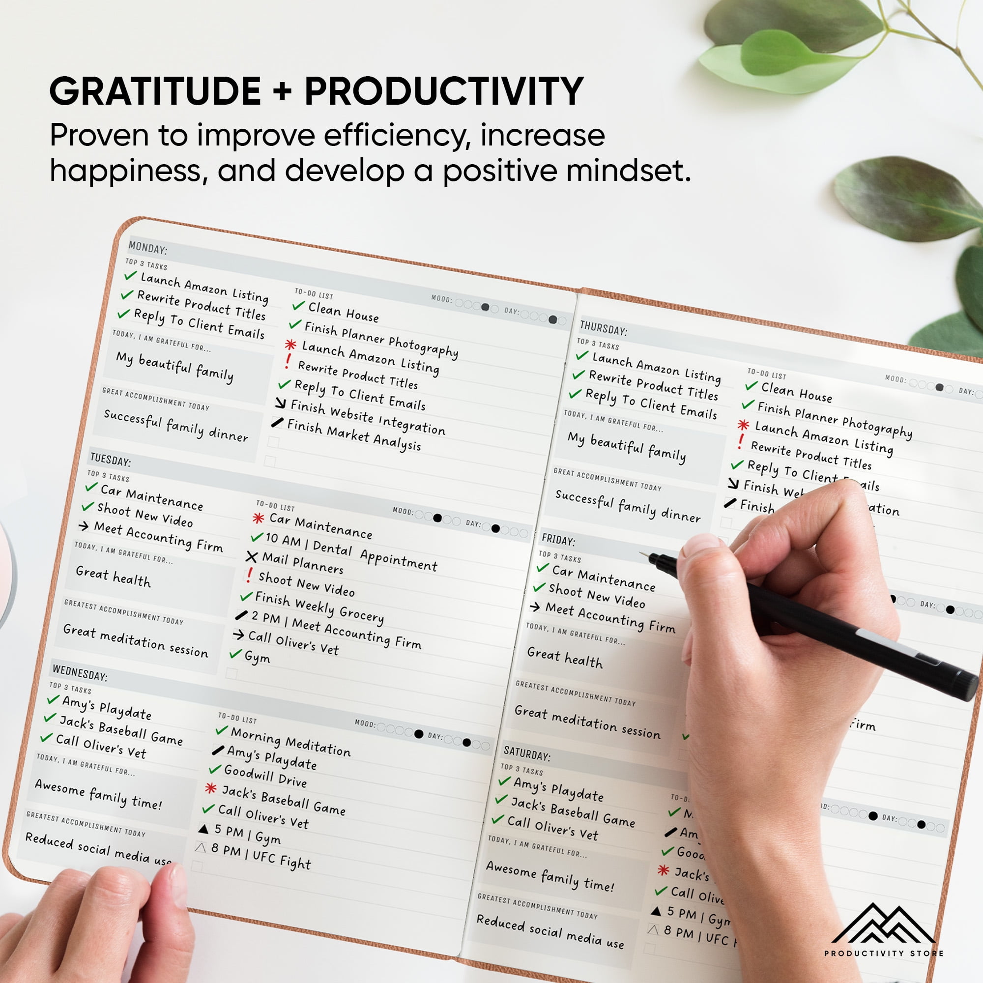 Productivity Store Undated Calendar Planners & Appointment Book, 8.5" x 11", Gray, 365 Pages
