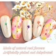 thumbnail image 3 of ZHAOCHENG 36 pegatinas de uñas de flores secas (cinco pétalos), pegatinas de uñas de flores secas 3D, pegatinas de uñas de flores reales naturales coloridas, 3 of 5