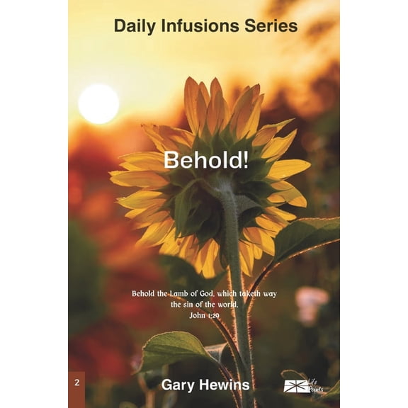 Daily Infusions Behold!, Book 2, (Paperback)