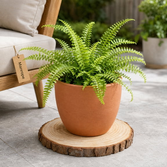 BESTYASH Outdoor Wooden Stepping Stone Paver Beige Wood Log for Garden Decoration