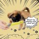 thumbnail image 5 of Food Pillows Cute French Fry Plushie Toy Food Stuffed Animals Removable Plush French Fries Pillow Fu, 5 of 5