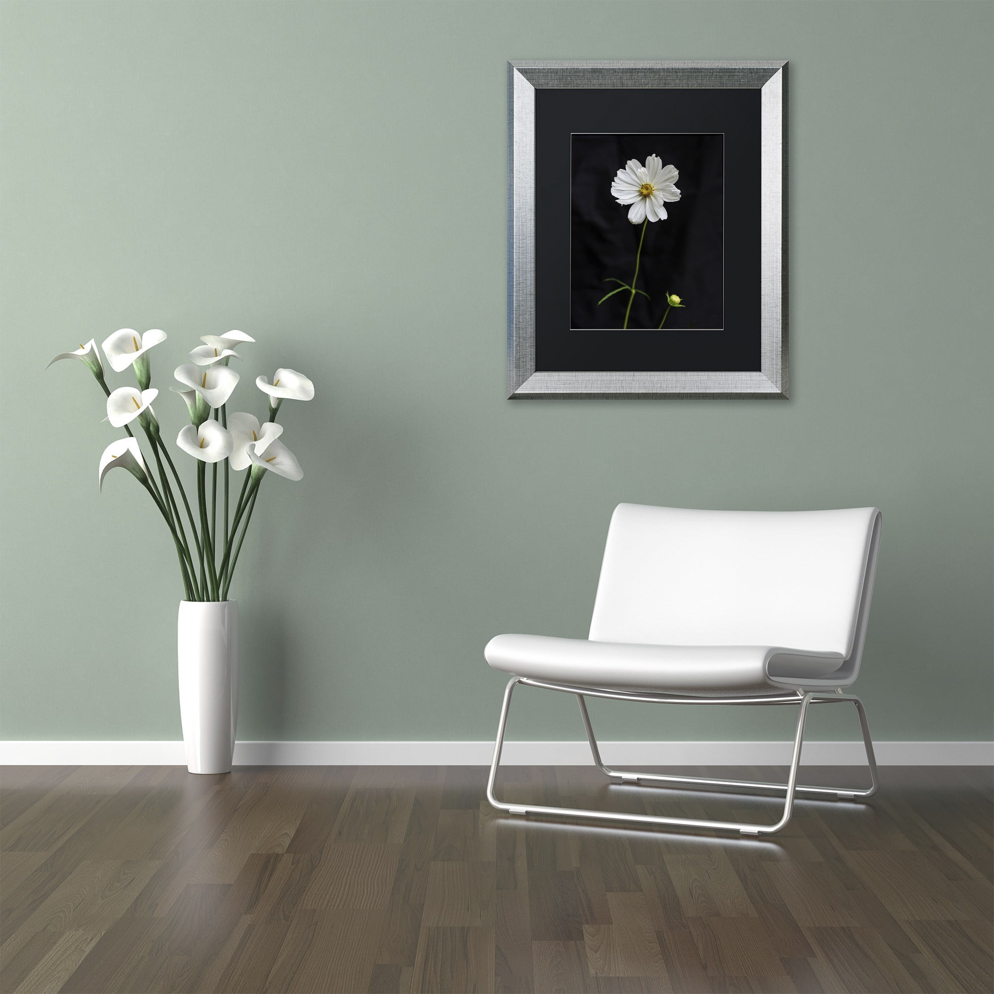 Trademark Fine Art "White Cosmos on Black" Canvas Art by Kurt Shaffer, Black Matte, Silver Frame