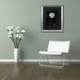 thumbnail image 3 of Trademark Fine Art "White Cosmos on Black" Canvas Art by Kurt Shaffer, Black Matte, Silver Frame, 3 of 4