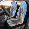 thumbnail image 2 of ZHANZZK Set of 2 Car Seat Covers Cute Raccoon Squirrel and Koala Universal Auto Front Seats Protector Fits for Car,SUV Sedan,Truck, 2 of 4