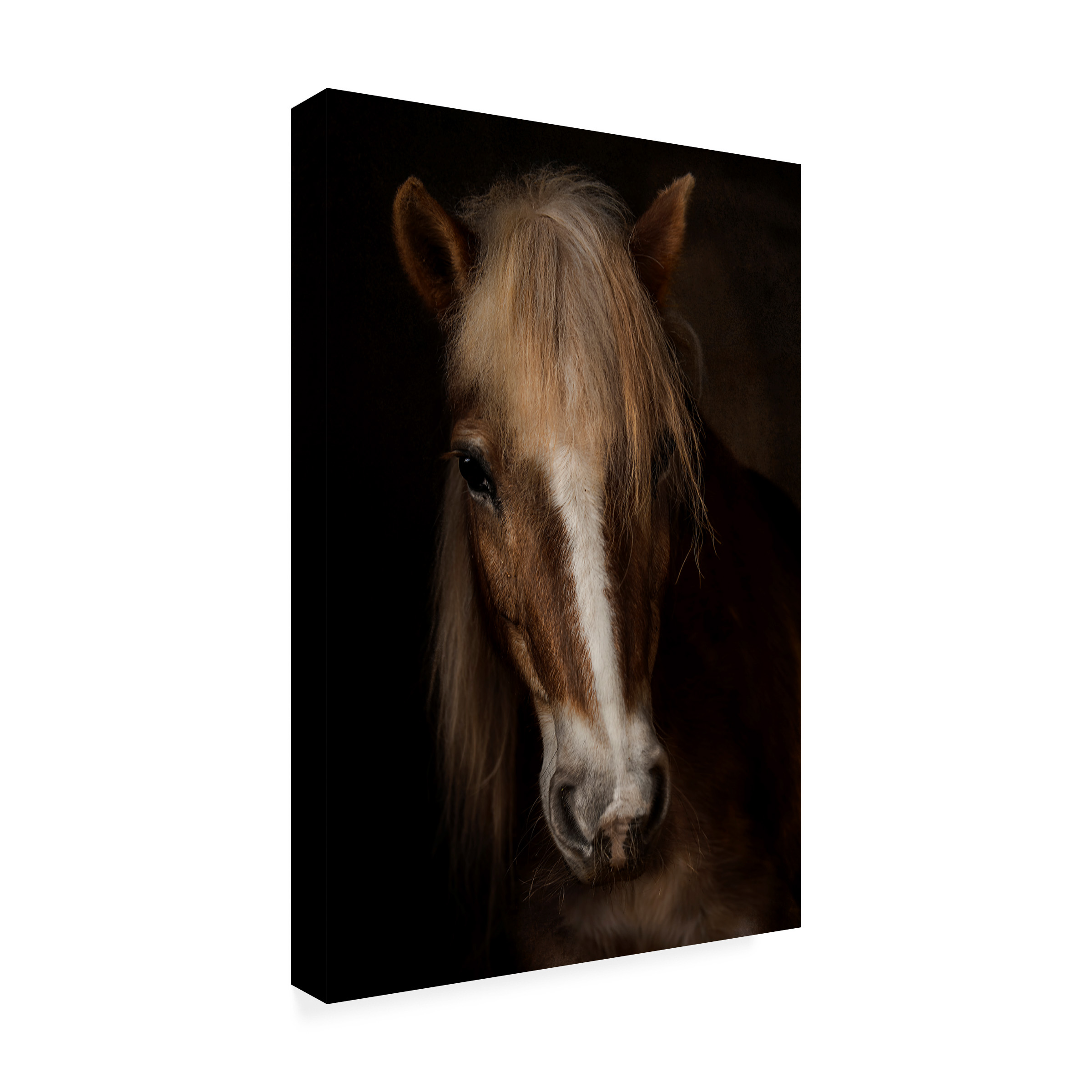 Martine Benezech 'Sapience' Canvas Art