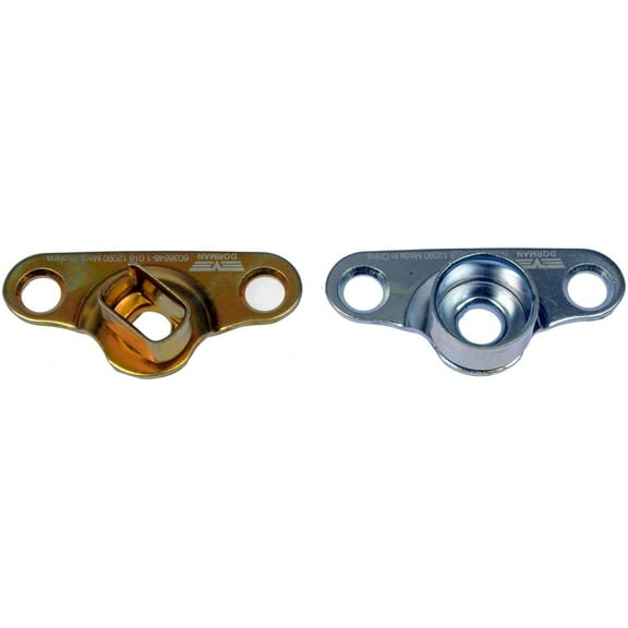 Dorman 38648 Tailgate Hinge Kit for Specific Ford Models