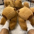 thumbnail image 2 of Fashion Slip On Capybara Slippers Women Warm Cotton Filing Fun Animal Capybara Fur Slides Cartoon Plushy Home Slippers, 2 of 5