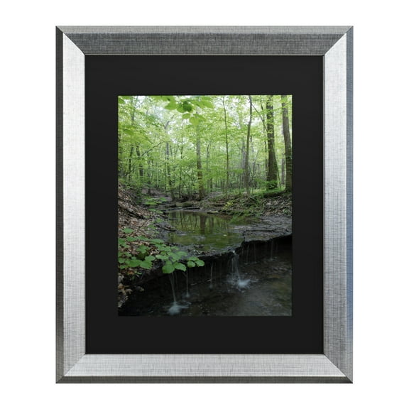 Trademark Fine Art 'Tiny Forest Falls' Canvas Art by Kurt Shaffer