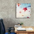 thumbnail image 3 of Epic Graffiti 'All Fall Down' by Dawn D Hanna, Giclee Canvas Wall Art, 26"x26", 3 of 6