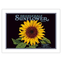 Orangedale Sunflower Brand - California Oranges - Vintage Fruit Crate Label c.1930s - Bamboo Fine Art 290gsm Paper Print (Unframed) 24x32in
