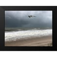 thumbnail image 2 of Laughton, Peter 24x19 Black Modern Framed Museum Art Print Titled - Peaceful Flight, 2 of 5