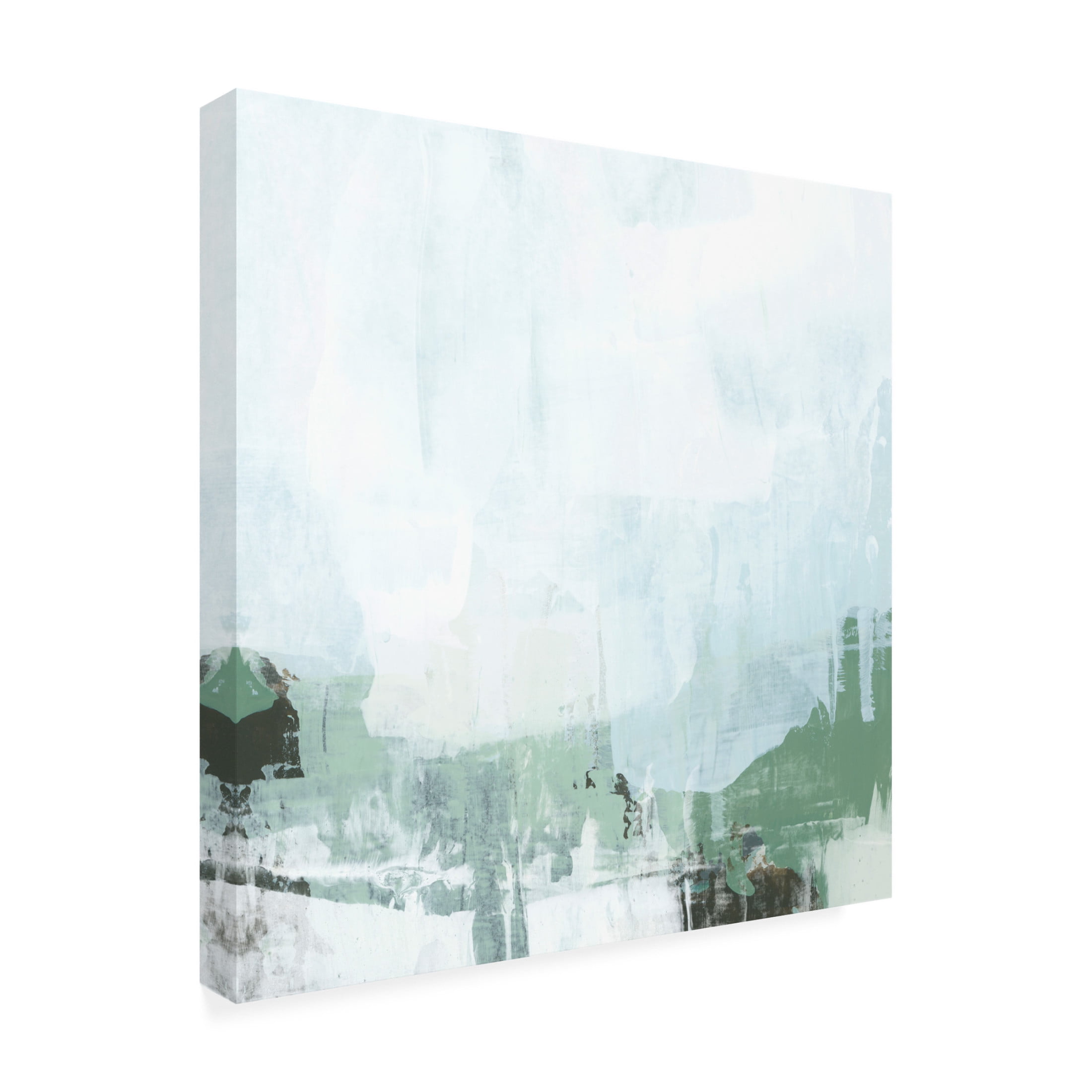 Trademark Fine Art June Erica Vess Field Lens IV Canvas Wall Art