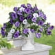 thumbnail image 5 of Outdoor Patio Decoration Artificial Flower Plants Petunias Wall Hanging Flower Vines Hanging Home Decor Plants Wedding Decoration, 5 of 9