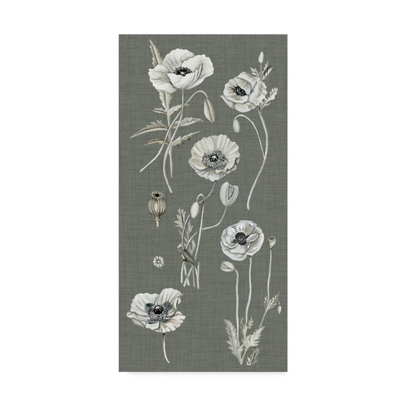 Trademark Fine Art 'Poppy Array I' Canvas Art by Naomi McCavitt