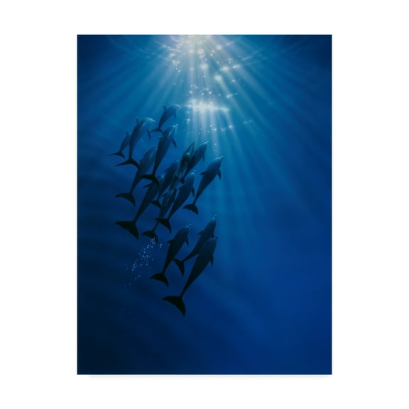 Trademark Fine Art 'The Gathering' Canvas Art by Kirk Reinert