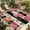 Beige Pink, variant on Flower Stripes Outdoor Rug for Patio/Deck/Porch, Non-Slip Large Area Rug 5 x 8 Ft, Black White Geometric Pink Rose Floral Indoor Outdoor Rugs Washable Area Rugs, Reversible Camping Rug Carpet Runner