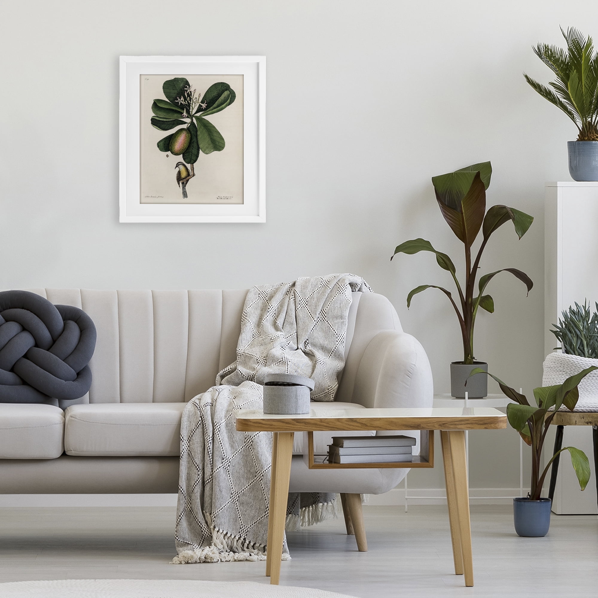 Stupell Industries Catesby Flora & Fauna White Framed Print Under Glass, design by Print Collection