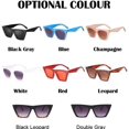 thumbnail image 5 of Sunglasses Women Black Cat Eye Designer Sun Glasses Female Travel Driver Gradient Fashion Oculos De Sol, 5 of 5