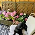 thumbnail image 3 of Aivituvin Raised Garden Bed with Legs Trellis Wooden Planter Box Outdoor for Gardening, 3 of 8