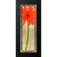 thumbnail image 2 of Greene, Taylor 9x18 Black Modern Framed Museum Art Print Titled - GERBERA DAISY, 2 of 5