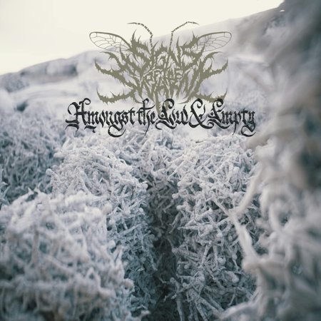 Signs of the Swarm Amongst the Low & Empty (Vinyl Record) 12 Album