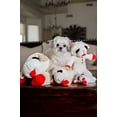 thumbnail image 2 of Multipet Plush Dog Toy, Lambchop, 10", White/Tan, 2 of 3
