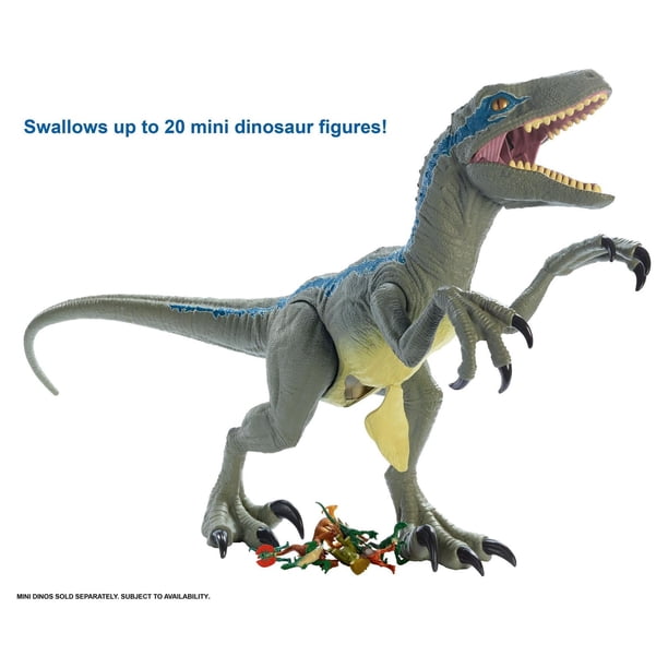velociraptor blue colosal liverpool