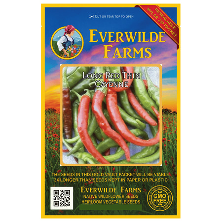Cayenne Pepper Plants Everwilde Farms - 50 Long Red Thin Cayenne Hot Pepper Seeds - Gold Vault Jumbo Bulk Seed Packet ()