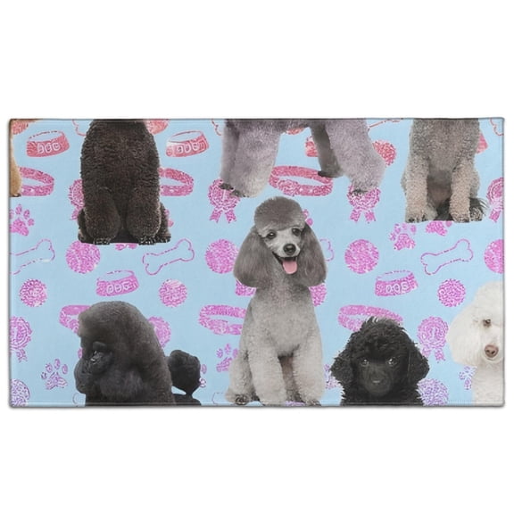 Poodles Door Rugs,Washable Non Slip Door Mats Indoor,Decorative Door Mats,Entry Mat Indoor for Entrance,Bedroom,Kitchen,Bathroom,17"x30"