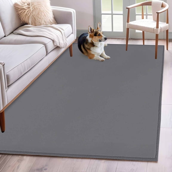 Hallway Runner Rugs 2.7x5 Ft, Grey Non Slip Area Rugs for Kitchen Bedroom Entryway, Pure Color Washable Carpet Runner Rug Floor Mats for Bedroom Home Decor Aesthetics Contemporary Luxury