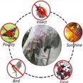 thumbnail image 3 of Lishi 2pcs 100*150cm White Plant Barrier Netting Mesh - Bird and Pest Control Net for Vegetables and Fruits, 3 of 5