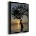 thumbnail image 2 of Sunset Silhouette Premium Framed Print - Ready to Hang, 2 of 9