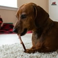 thumbnail image 6 of Redbarn All-Natural Bully Slims Beef Esophagus Chew Treats, 4.7 oz Bag, 6 of 9