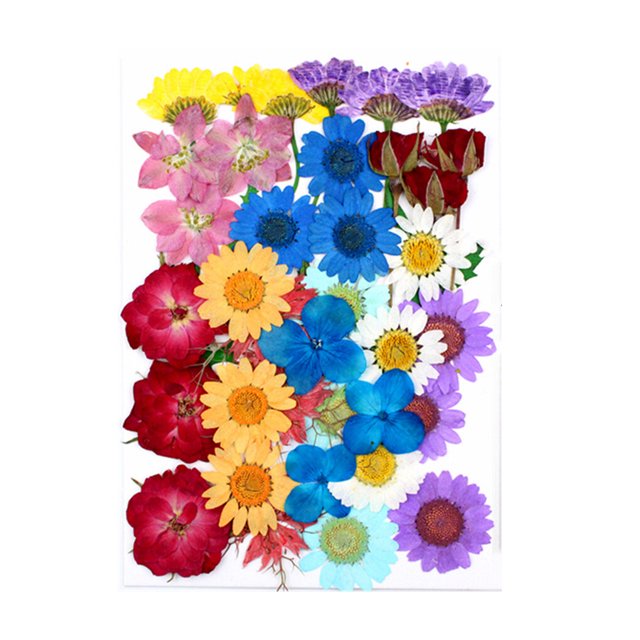 Dried Flowers Set Scrapbooking Decorating Real Flower Decal Handicraft Pressed Specimen Filling Pressed Specimen Label for Makeup Phone Use Type 8
