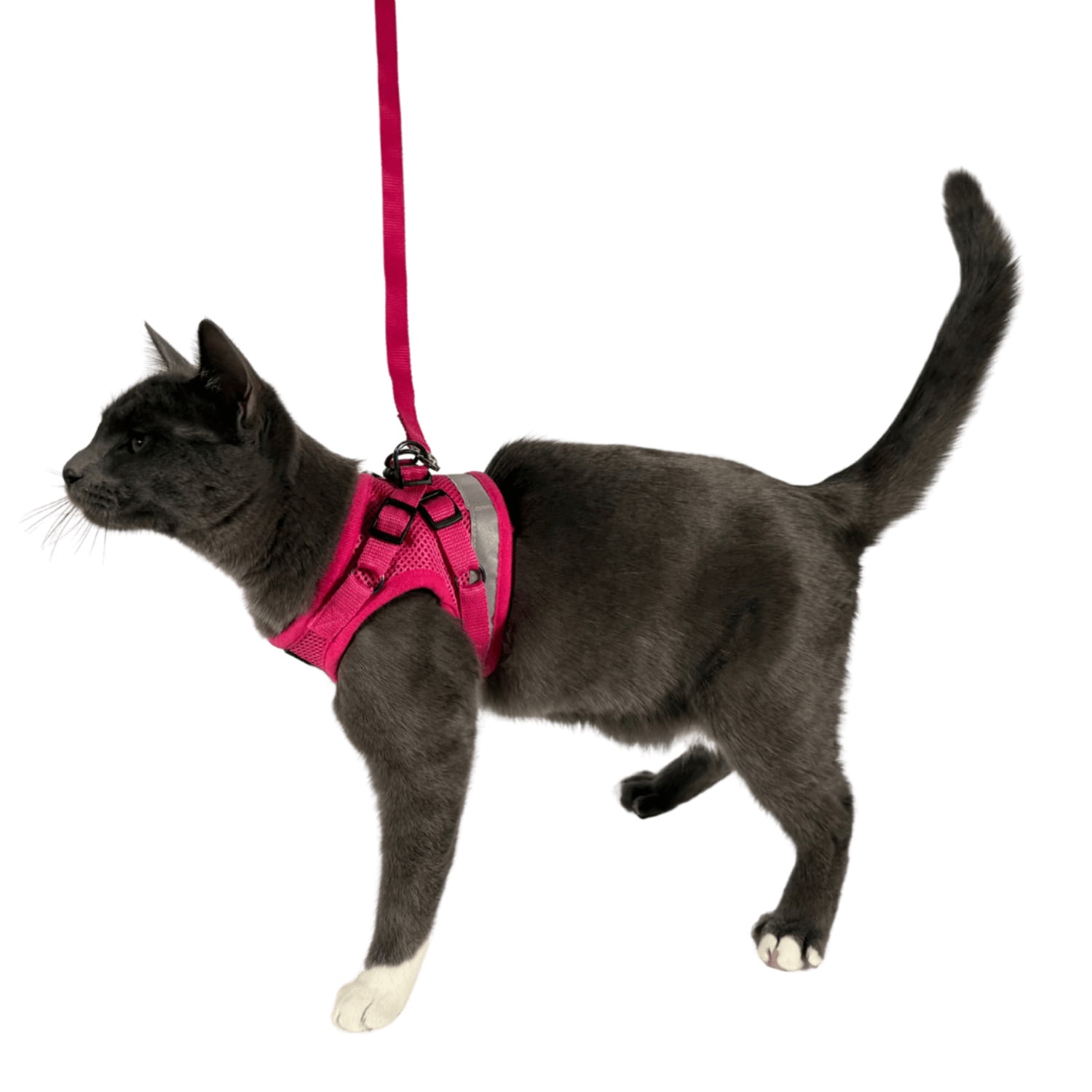 "The Purrfectly Pink" Iridescent Limited-Edition Harness  Leash Set