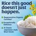 thumbnail image 3 of Organic California Sushi Rice, 3 of 8