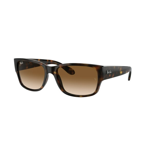Sunglasses Ray-Ban RB 4388 710/51 Havana Clear Gradient Brown