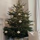 thumbnail image 5 of Naiovety 3 piezas de papel de Navidad, árbol de Navidad, regalo bonito, decoración navideña, decoración del hogar, adornos, decoraciones conjunto de seis piezas, 5 of 6